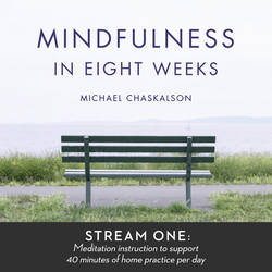 Mindfulness in 8 Weeks: 40 Minutes a Day Program image