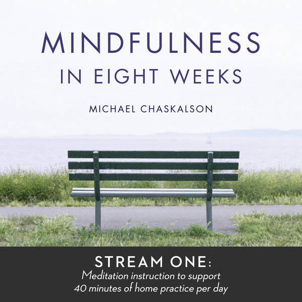 Mindfulness in 8 Weeks: 40 Minutes a Day Program
