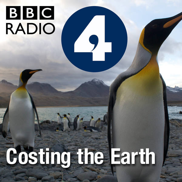 Putting the Fizz Back into Planet Earth