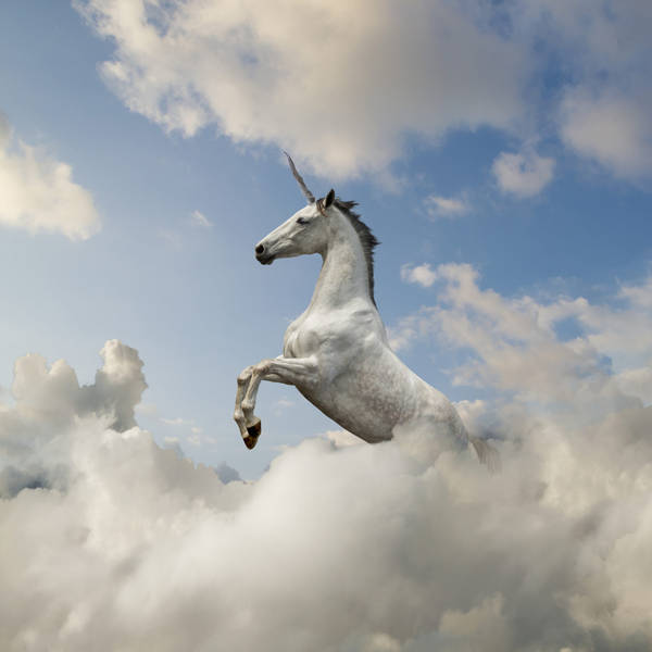 Chasing Unicorns