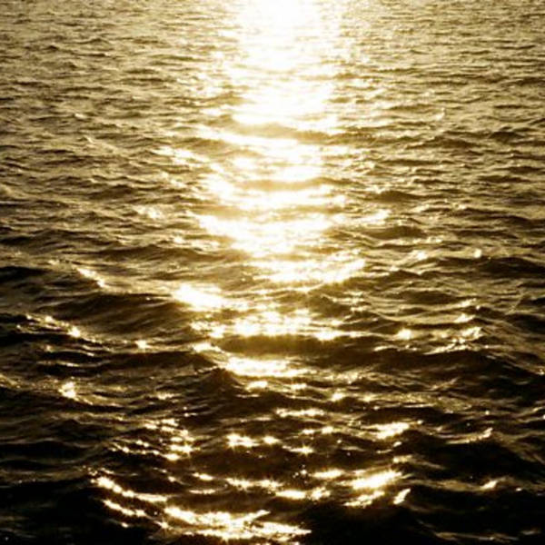 Where The Wild Things Are