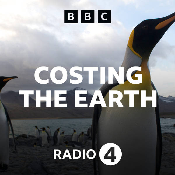 Global Player | Costing the Earth - Podcast