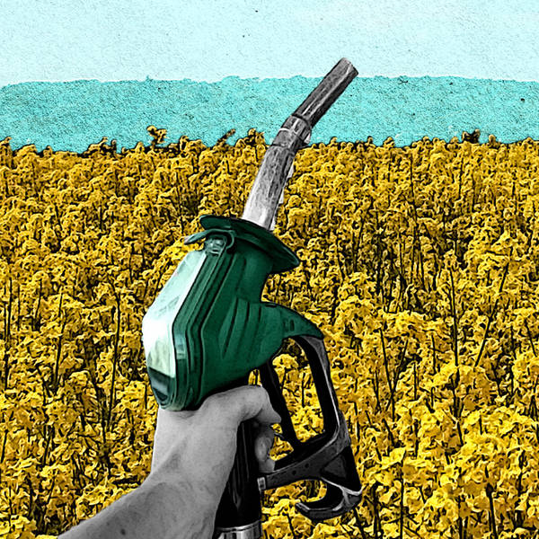 Why use food for fuel?