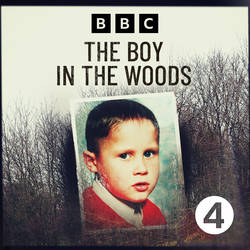 The Boy in the Woods image