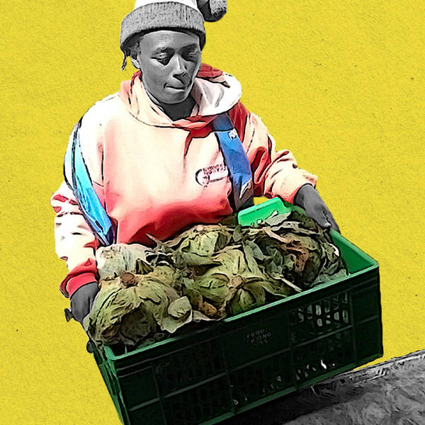 The growth of food banks in Africa