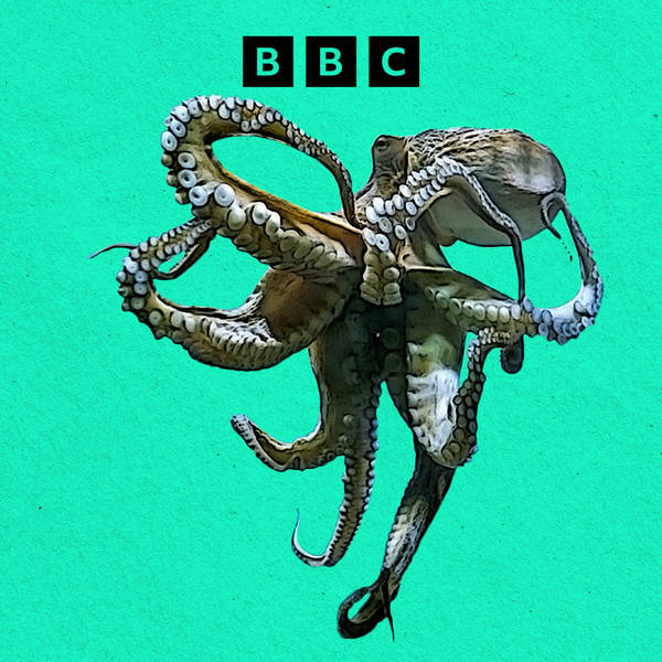 Should we farm octopus?