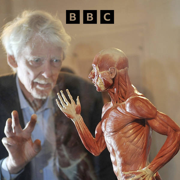 Facial reconstruction: From mummy to murder