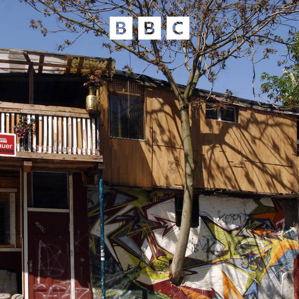 Treehouse on the Berlin Wall