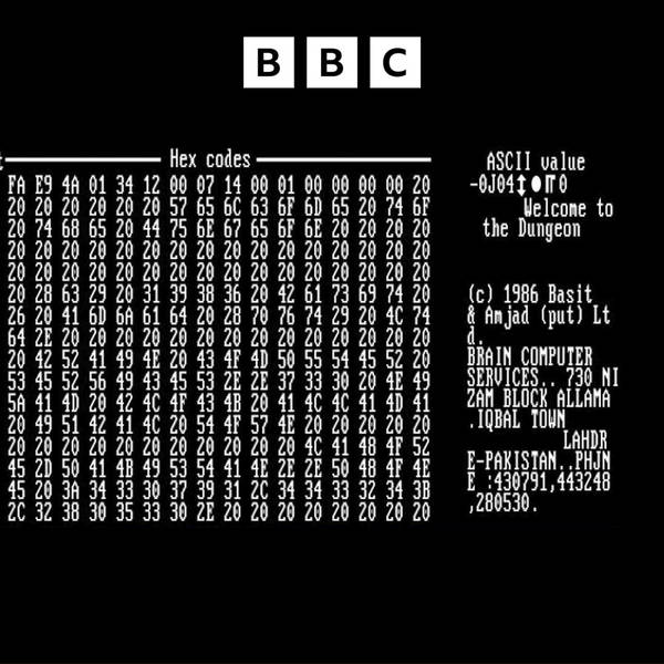 Brain: A personal computer virus