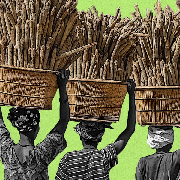 Africa's forgotten foods