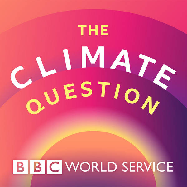 Bonus: The Climate Question