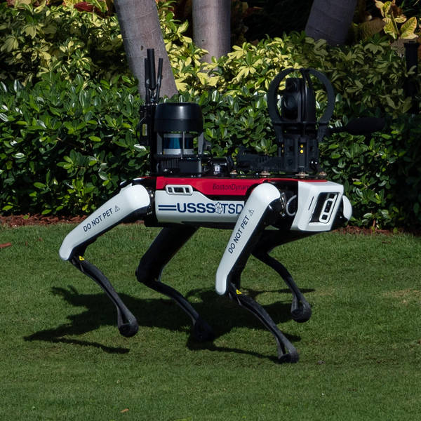 Donald Trump’s robodogs