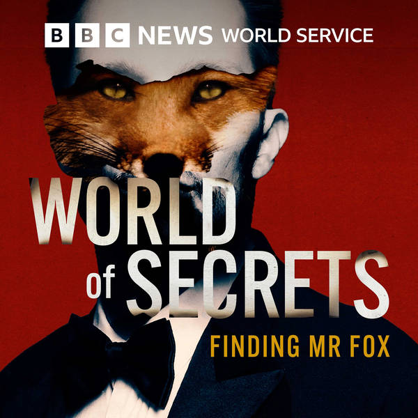 Finding Mr Fox: 1. The adventure of a lifetime