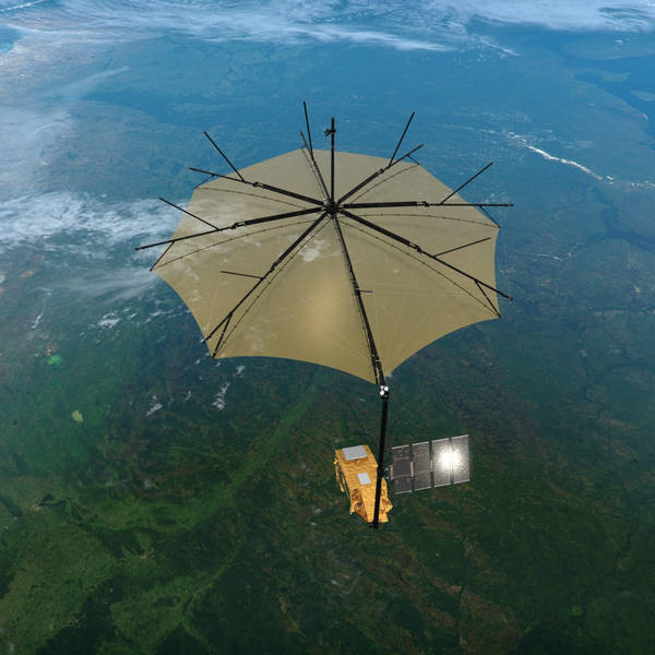 Weighing the world's forests