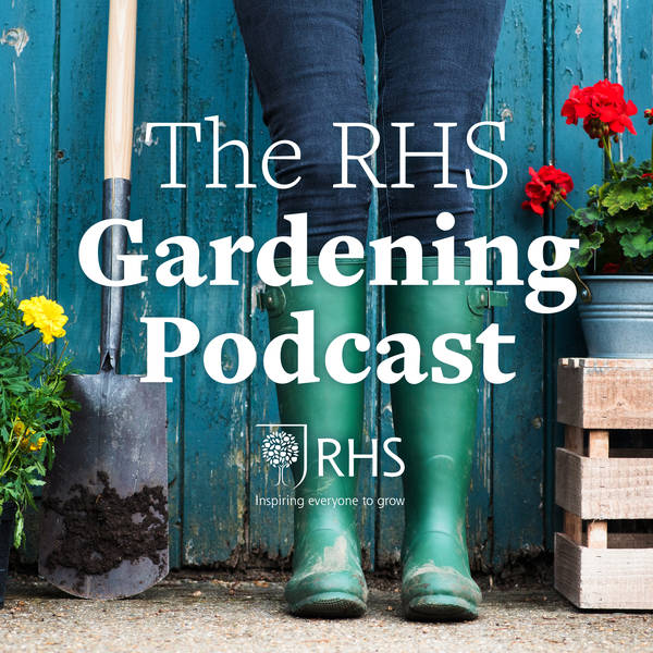 Live from RHS Flower Show Cardiff