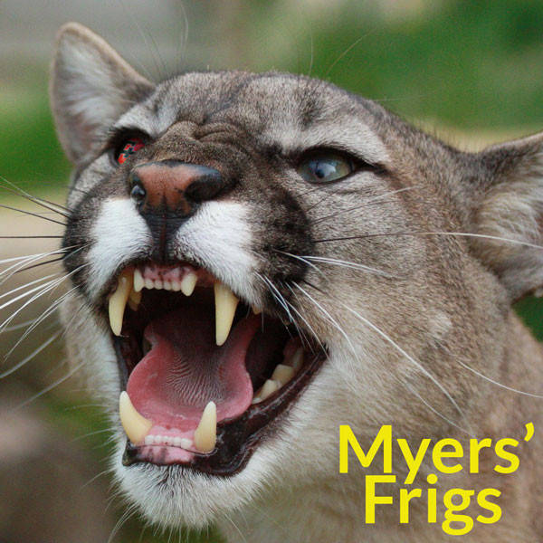 232: Myers' Frigs