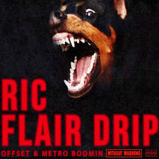 Ric Flair Drip artwork