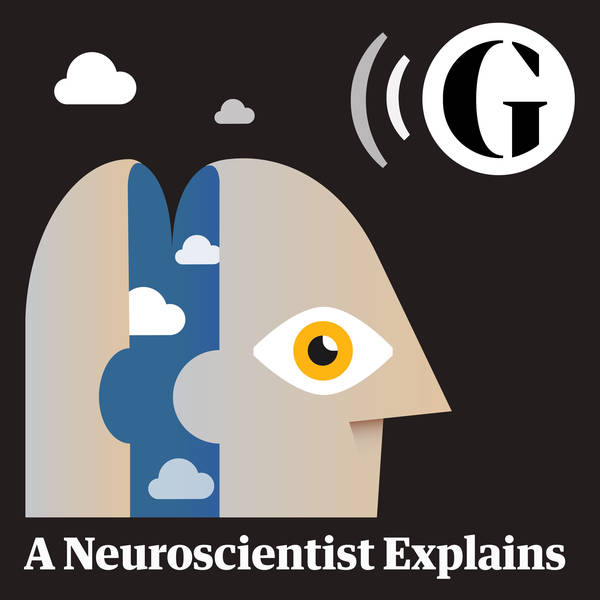A Neuroscientist Explains: where perception ends and hallucination begins
