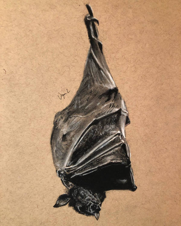 Snacktime: Who Is 'Batbrat?'