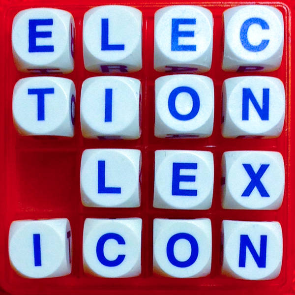 10. Election Lexicon