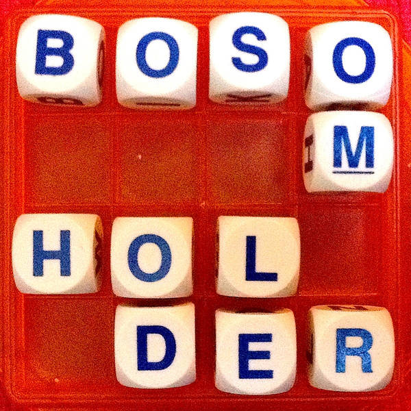 2. Bosom Holder