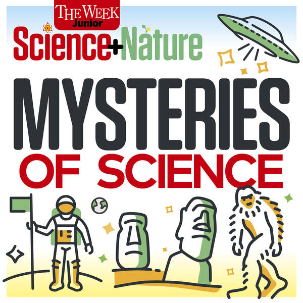 BONUS: Mysteries of Science – Deja vu
