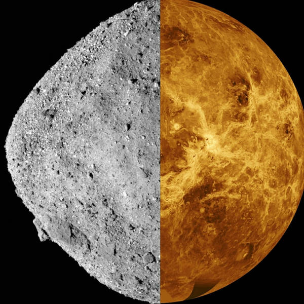We Have Sampled an Asteroid! And the Search for Life Above Venus