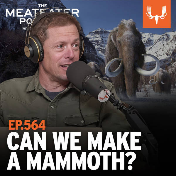 Ep. 564: De-extinction: Can We Make a Mammoth, and Why Should We?