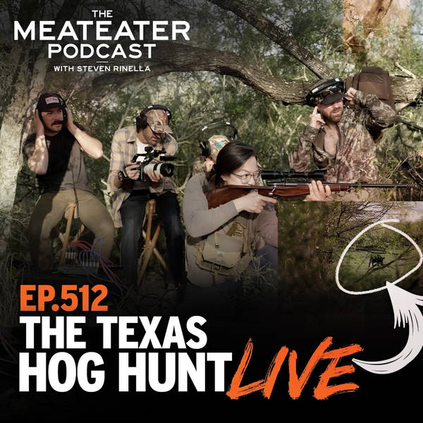 Ep. 512: The Texas Hog Hunt, Live