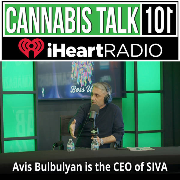 Avis Bulbulyan is the CEO of SIVA