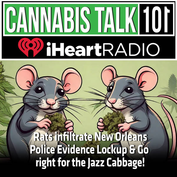 Rats infiltrate New Orleans Police Evidence Lockup & Go right for the Jazz Cabbage!