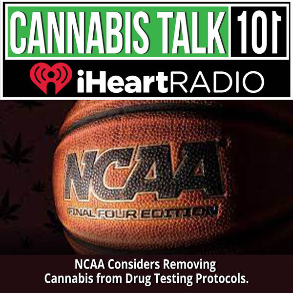 NCAA Considers Removing Cannabis from Drug Testing Protocols.