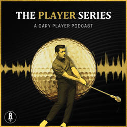 The Player Series image