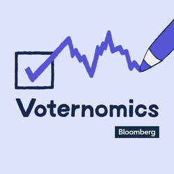 Voternomics image