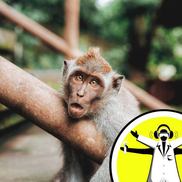 QnA: Sperm Races and Monkey Business