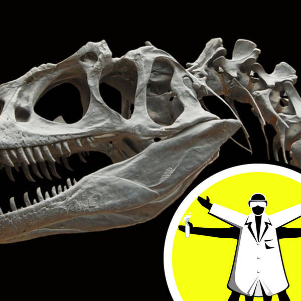 Fossil fever: scientists dig in