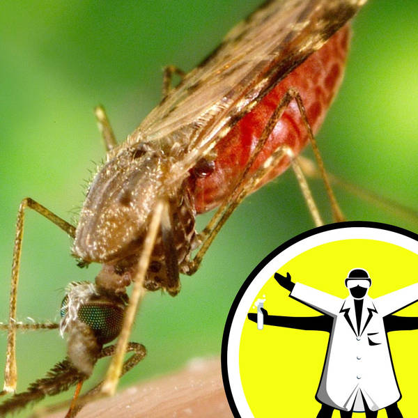 Mosquito bloodlust hormones & inflammation drives long Covid