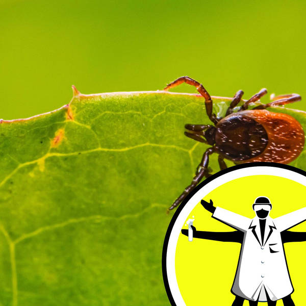 Lyme Disease: Ticks, Trends, and Treatment