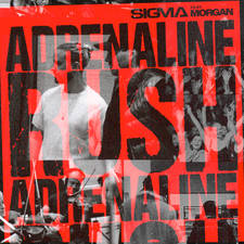 Adrenaline Rush artwork