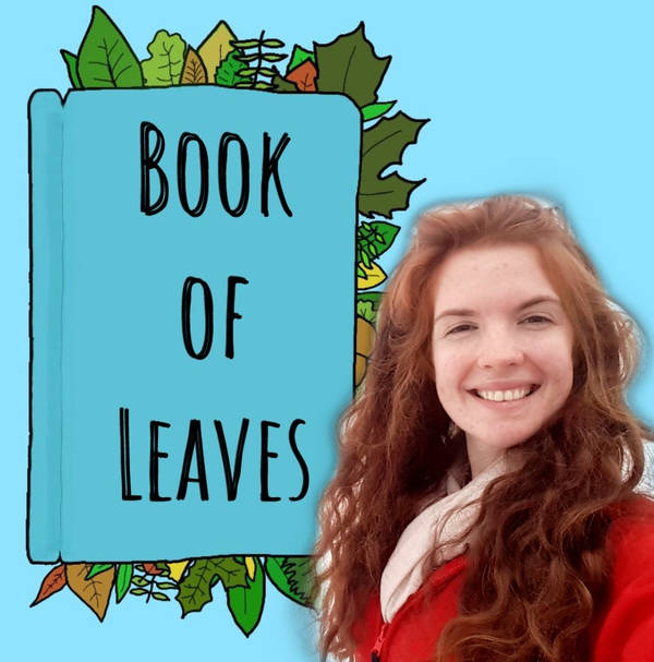 Book of Leaves image
