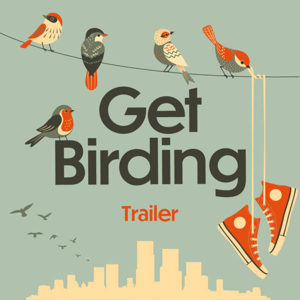 Get Birding - Trailer