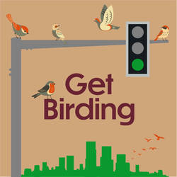 Get Birding image