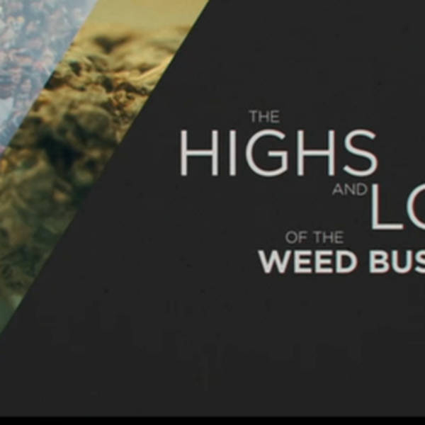 Colorado: The Highs and Lows of the Weed Business