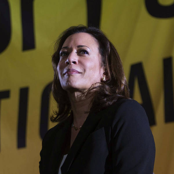 Kamala Harris and the race for the Democratic presidential nomination