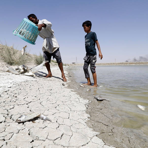 Petrodollars fail to ease Basra's water crisis