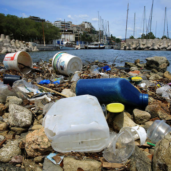 Scientists find shocking levels of plastic pollution