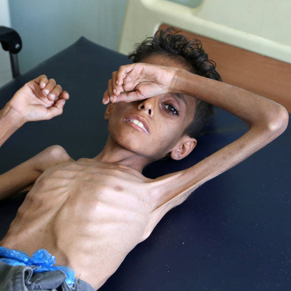 Yemen on the brink