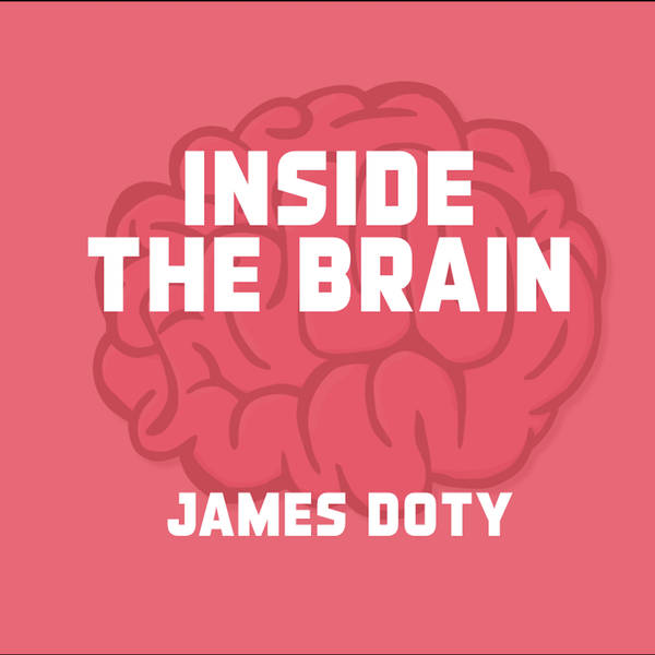 Inside the Brain - A Neuroscientist Explains