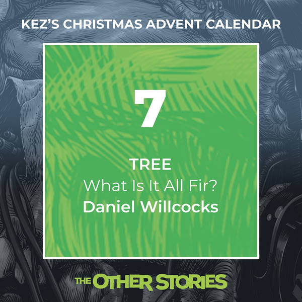 Kez's Christmas Advent Calendar - Day 7: What Is It All Fir?