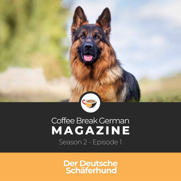 CBG Mag 2.01 | Der Deutsche Schäferhund